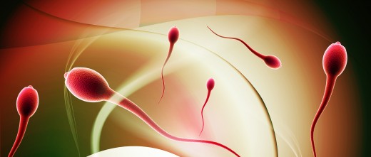 Sperma Hidup dalam Rahim Wanita